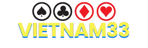 Logo VIETNAM33